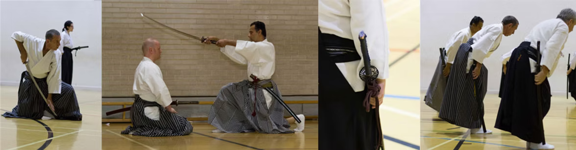 Iaido practice